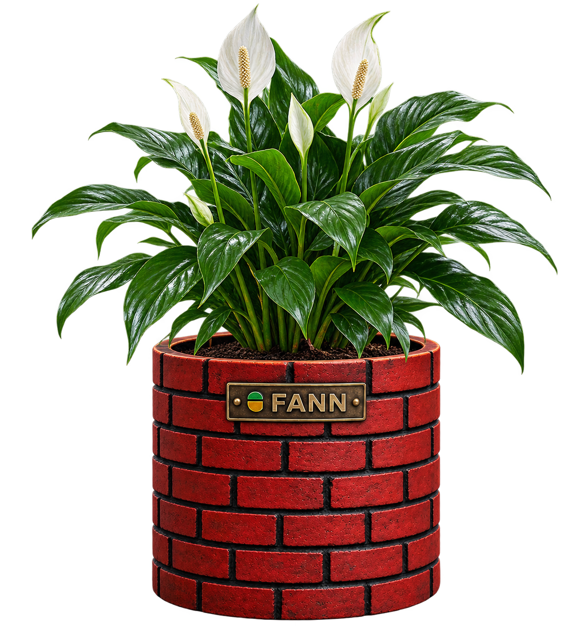img-fann-planter-footer