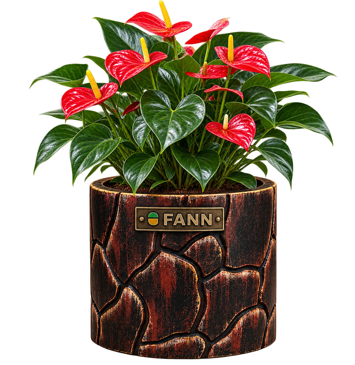 img-fann-planter2