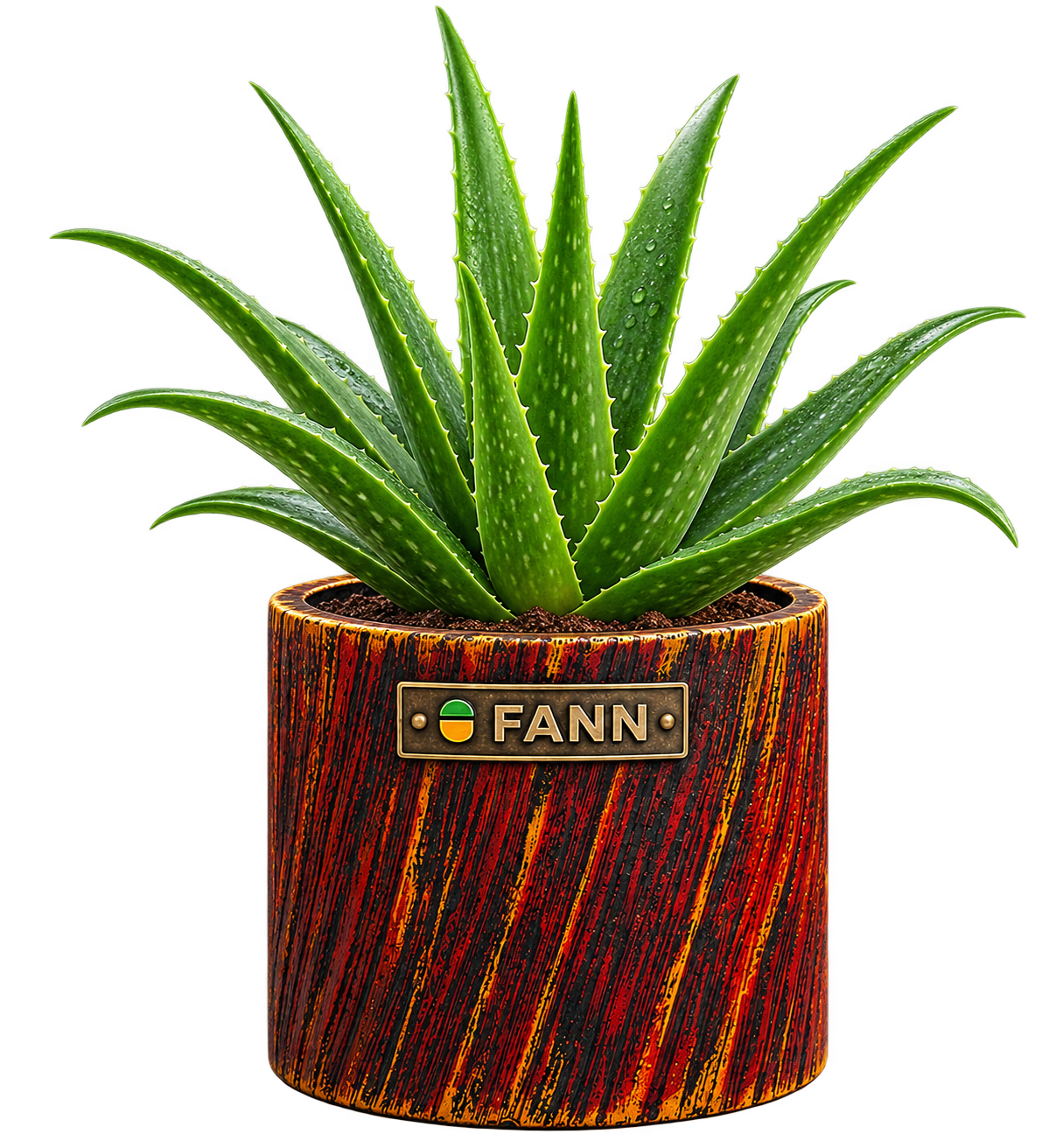 img-fann-planter3